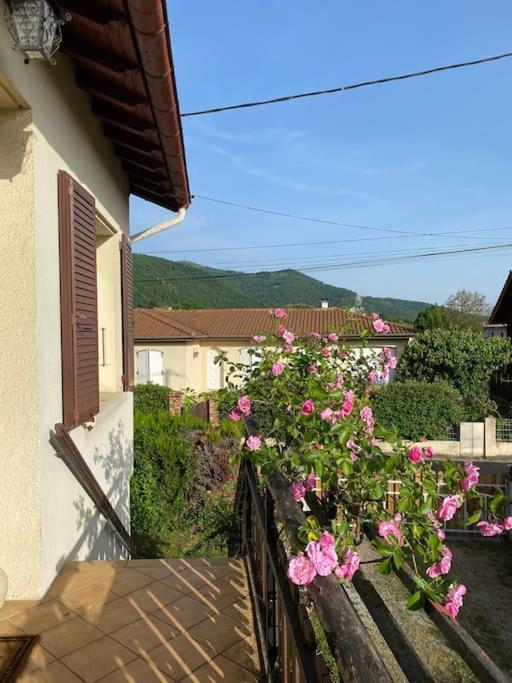 Saint-Paul-de-JarratLa Terrasse Du Fourcatアパートメント エクステリア 写真