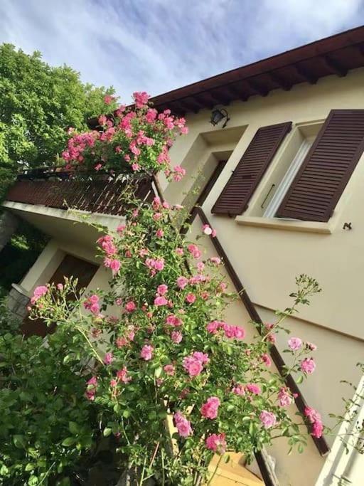 Saint-Paul-de-JarratLa Terrasse Du Fourcatアパートメント エクステリア 写真