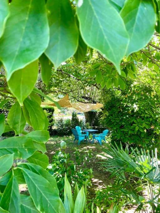 Saint-Paul-de-JarratLa Terrasse Du Fourcatアパートメント エクステリア 写真